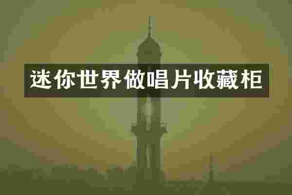 迷你世界做唱片收藏柜