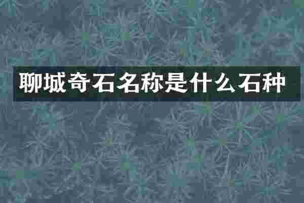聊城奇石名称是什么石种
