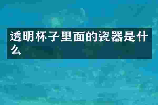 透明杯子里面的瓷器是什么