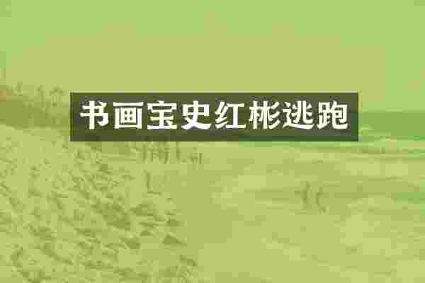 书画宝史红彬逃跑