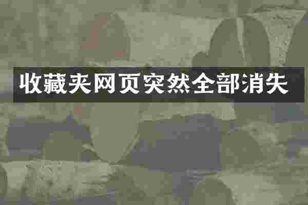收藏夹网页突然全部消失