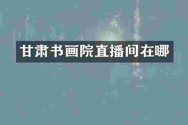 甘肃书画院直播间在哪