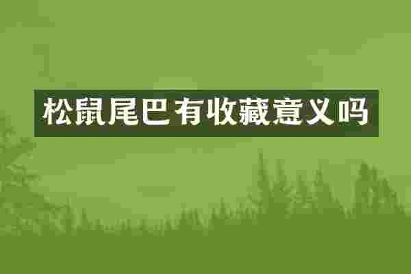松鼠尾巴有收藏意义吗