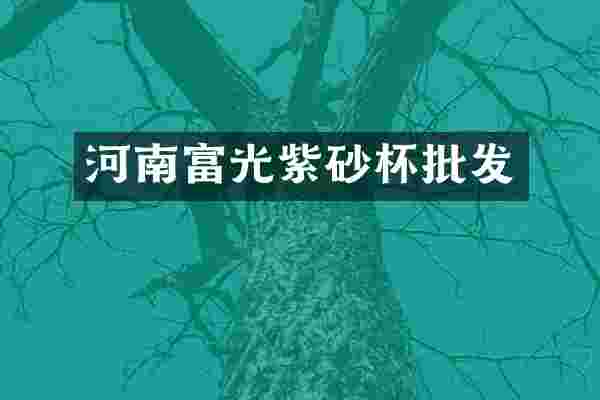 河南富光紫砂杯批发