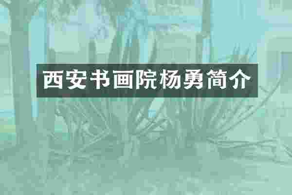 西安书画院杨勇简介
