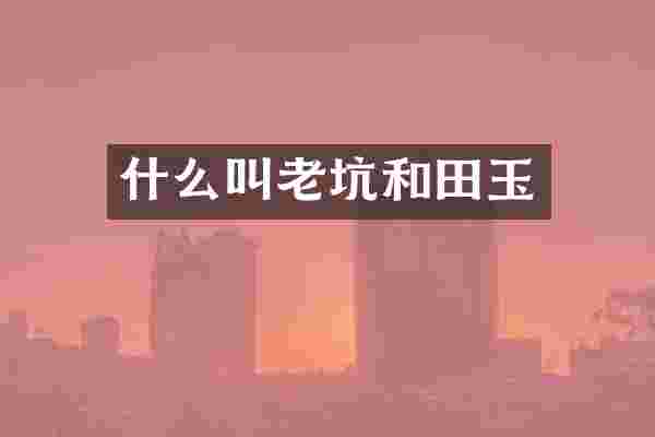 什么叫老坑和田玉