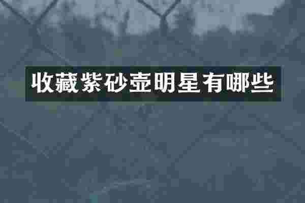 收藏紫砂壶明星有哪些