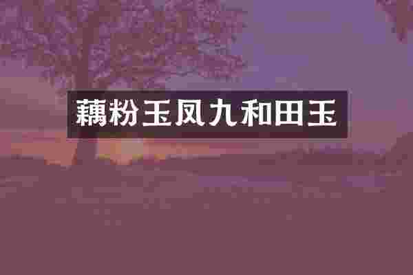 藕粉玉凤九和田玉