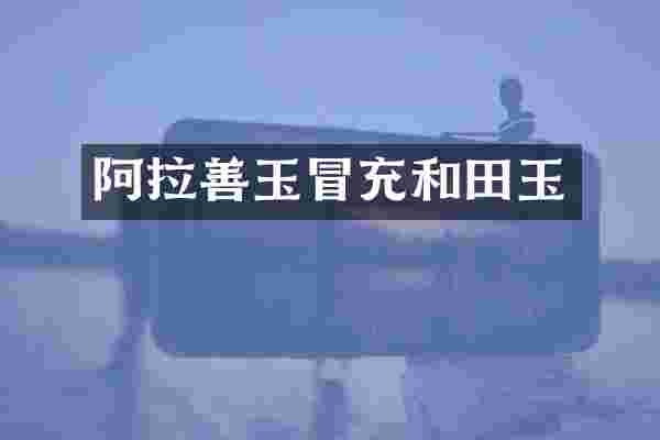 阿拉善玉冒充和田玉
