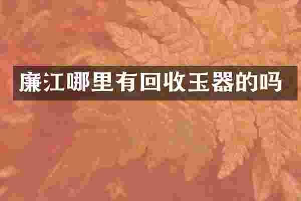 廉江哪里有回收玉器的吗