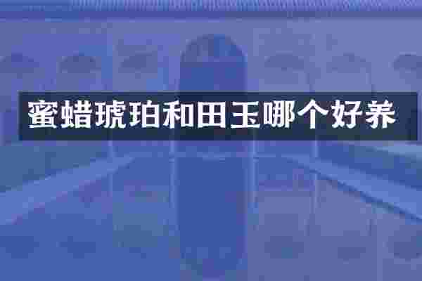 蜜蜡琥珀和田玉哪个好养
