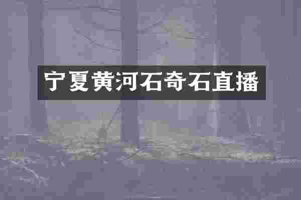 宁夏黄河石奇石直播