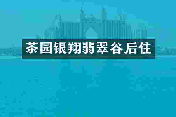茶园银翔翡翠谷后住