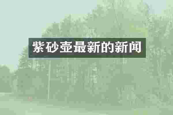紫砂壶最新的新闻