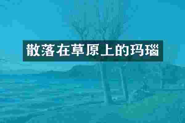 散落在草原上的玛瑙