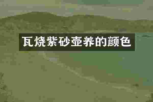 瓦烧紫砂壶养的颜色