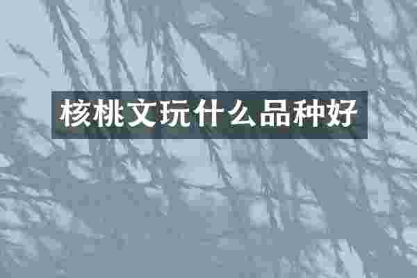核桃文玩什么品种好