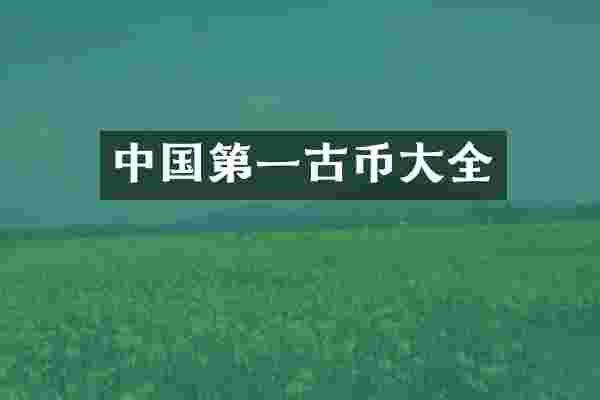 中国第一古币大全