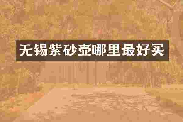 无锡紫砂壶哪里最好买