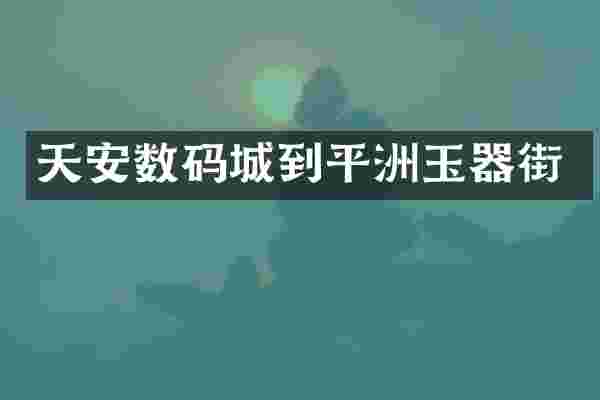 天安数码城到平洲玉器街