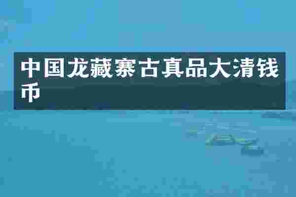 中国龙藏寨古真品大清钱币