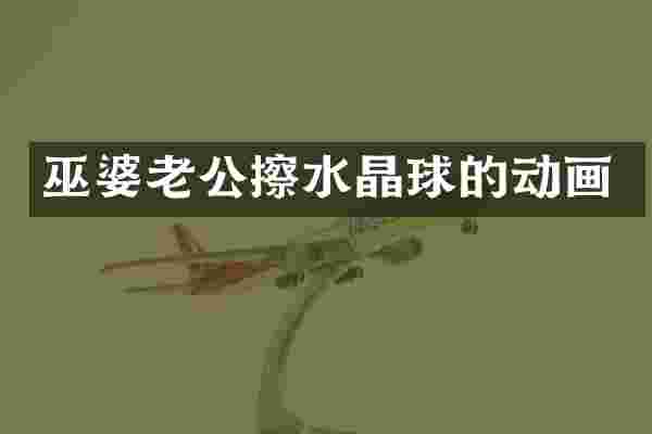 巫婆老公擦水晶球的动画