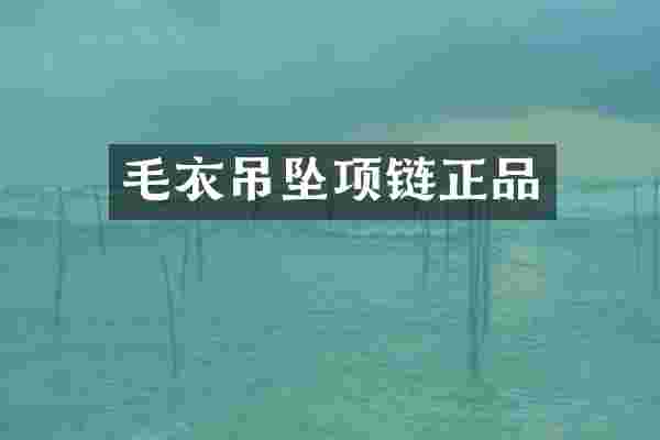 毛衣吊坠项链正品