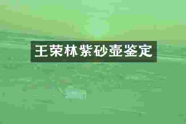 王荣林紫砂壶鉴定