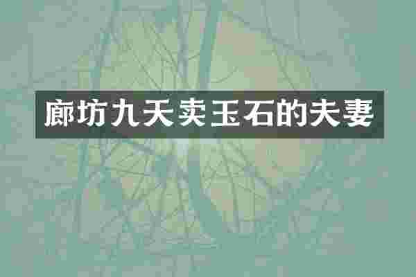 廊坊九天卖玉石的夫妻