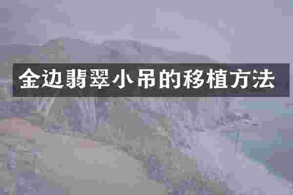 金边翡翠小吊的移植方法