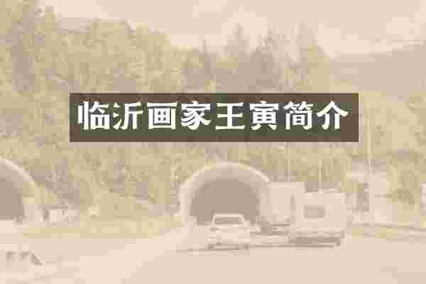临沂画家王寅简介