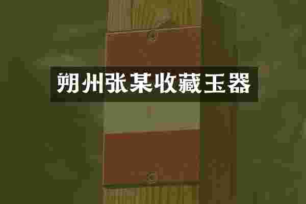 朔州张某收藏玉器