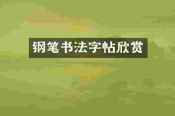 钢笔书法字帖欣赏