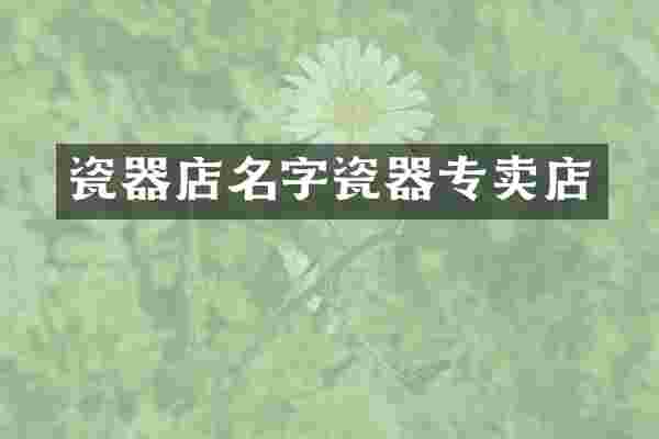 瓷器店名字瓷器专卖店