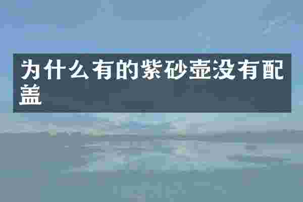 为什么有的紫砂壶没有配盖