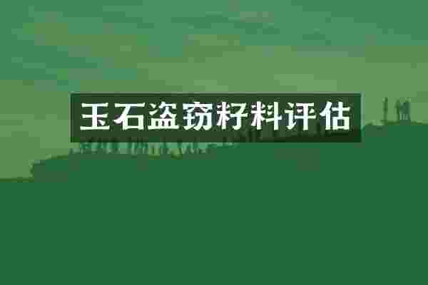 玉石盗窃籽料评估