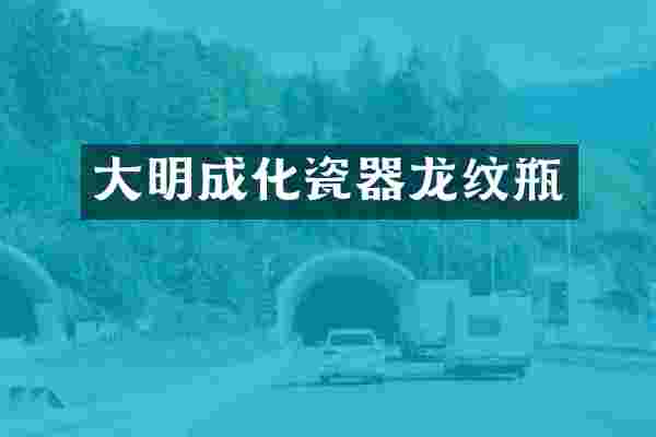 大明成化瓷器龙纹瓶