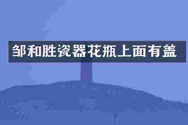 邹和胜瓷器花瓶上面有盖