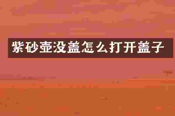 紫砂壶没盖怎么打开盖子