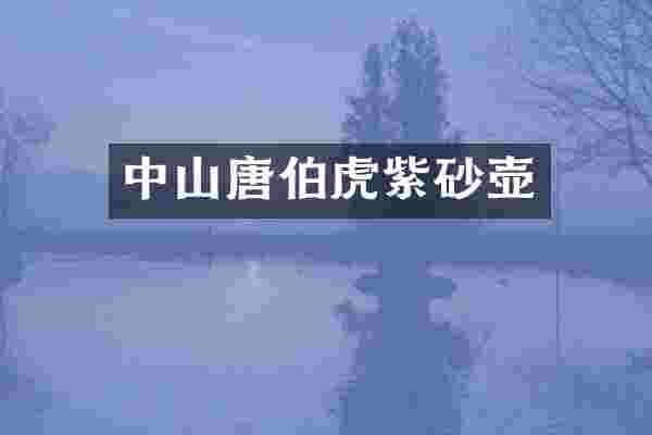 中山唐伯虎紫砂壶