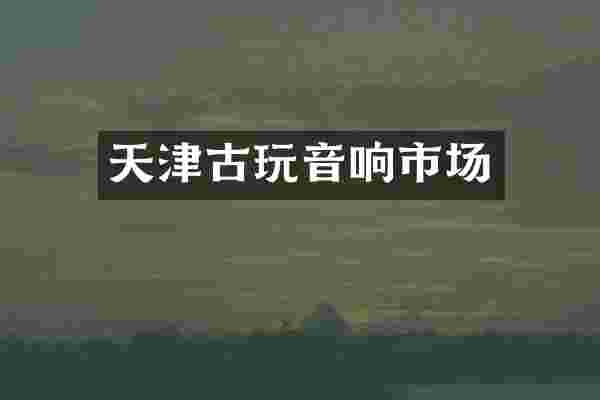天津古玩音响市场