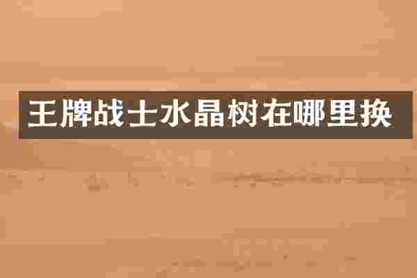 王牌战士水晶树在哪里换