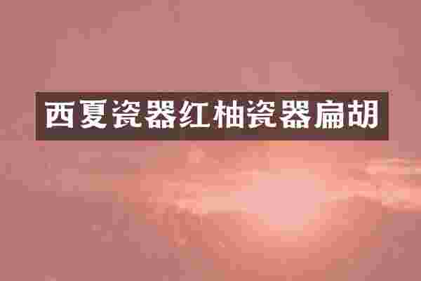西夏瓷器红柚瓷器扁胡