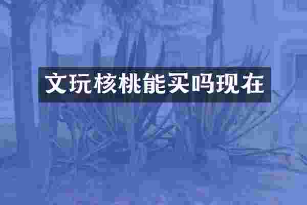 文玩核桃能买吗现在
