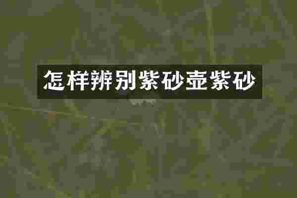 怎样辨别紫砂壶紫砂