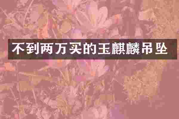 不到两万买的玉麒麟吊坠