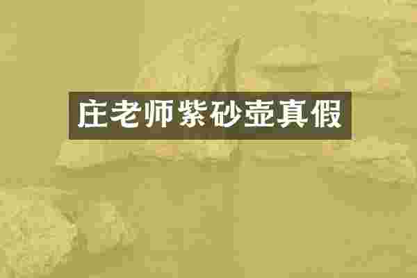 庄老师紫砂壶真假