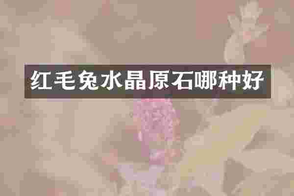 红毛兔水晶原石哪种好