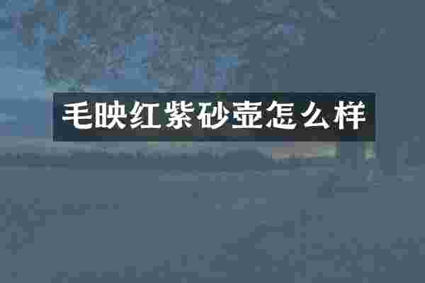 毛映红紫砂壶怎么样