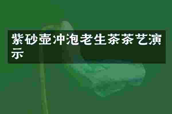 紫砂壶冲泡老生茶茶艺演示